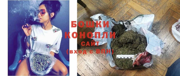 индика Анжеро-Судженск