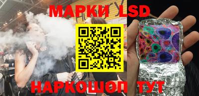 apvp Краснодар