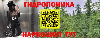 apvp Краснодар