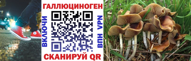 Галлюциногенные грибы GOLDEN TEACHER мега tor Сертолово