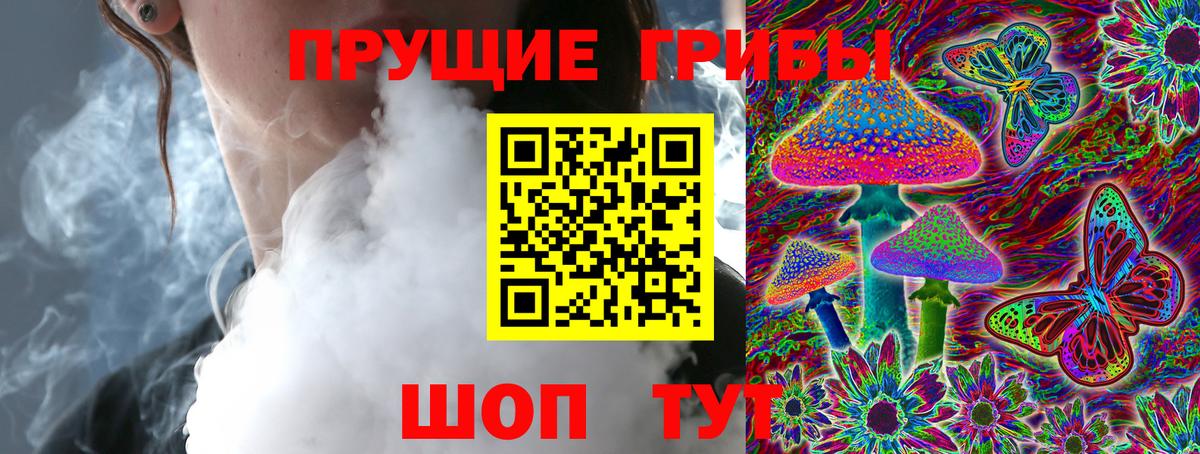 Псилоцибиновые грибы Psilocybe Сертолово